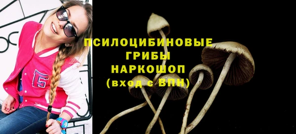 гашик Белоозёрский