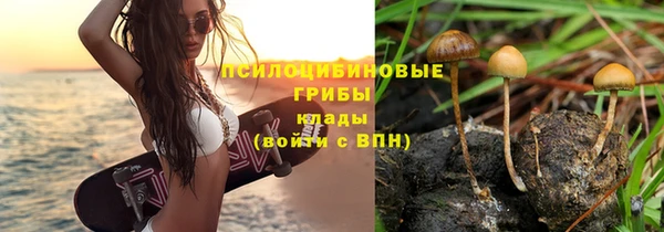 стаф Беломорск