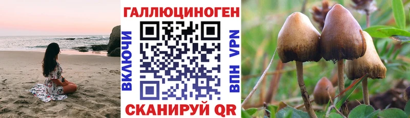 Псилоцибиновые грибы мицелий  купить  сайты  Онега 
